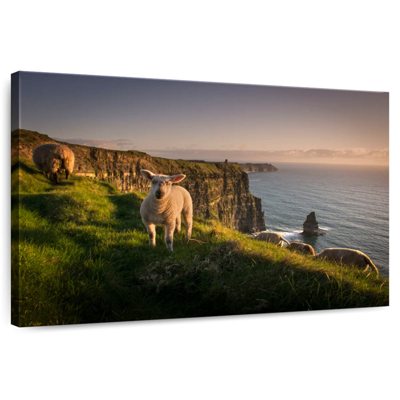 Brampt Moher Cliffs Sheep, 32" H x 48" W