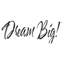 Ensemble de coussins Dream Big