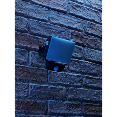 Richvale LED Flood Light with Pir