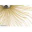 Weightless wall sculpture