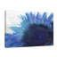 « fleuriing tournesol » par kimberly allen, reproduction d’art sur toile tendue-20025487
