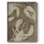 «Woodgrain Crustaceans II», reproduction encadrée - bois massif-1378771412