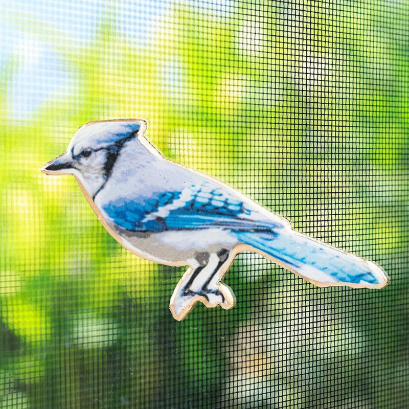 Aimant à deux côtés Blue Jay