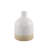 Kanedra Decorative Bottle 1-1959413690-1959413671
