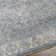 Bejou Oriental Indoor Rug