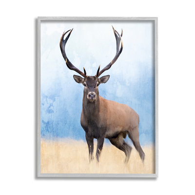 Stupell Industries Deer In Open Field By Kim Allen Single Picture Frame Print On Canvas In Farmhouse Gray Framed Giclee