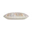 Coussin Abstract