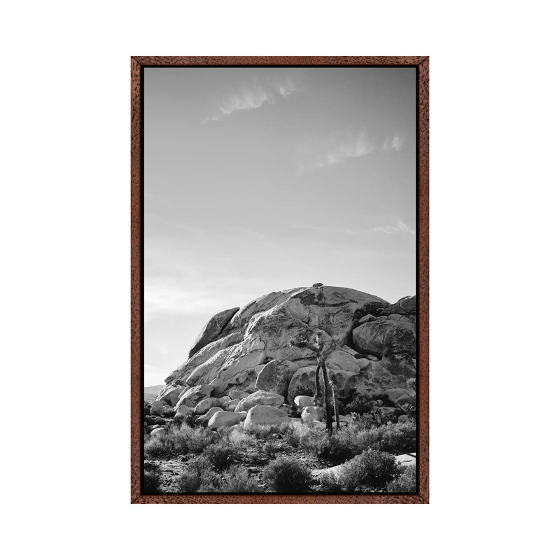 Joshua Tree National Park XV by Bethany Young - Print on Canvas, Classic Brown Wood Framed, 101.6cm H x 66.04cm W x 3.81cm D