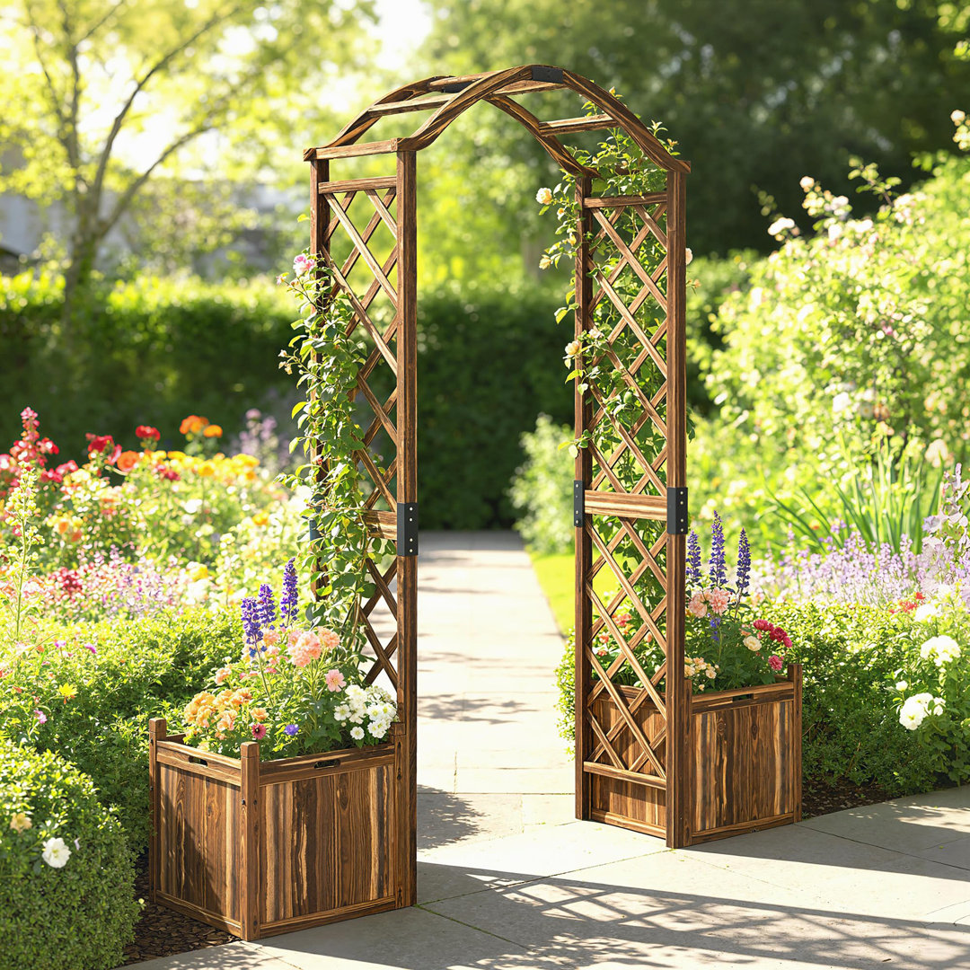 170.5cm W x 42cm D Solid Wood Arbour in Carbonised