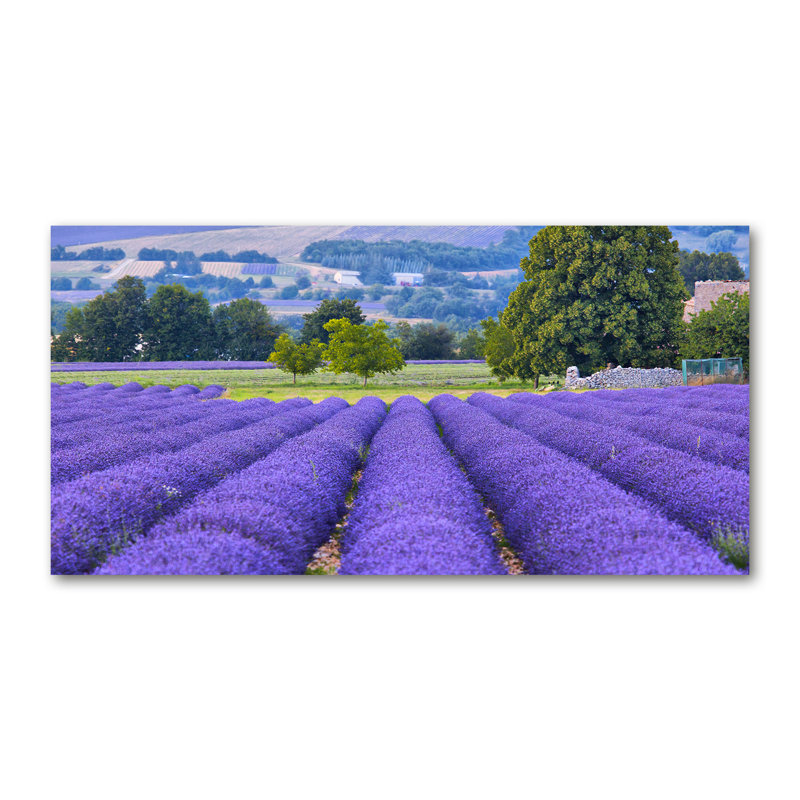 Lavender Field - No Frame Print on Canvas