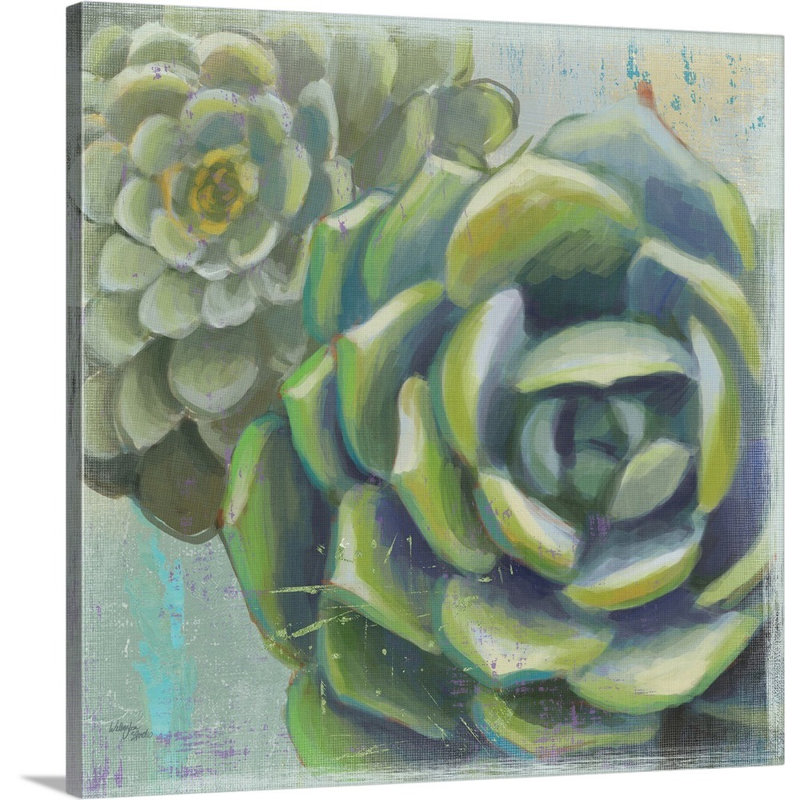 Succulents II, art mural sur toile, Toile tendue, H 30 po x l 30 po x P 1,25 po