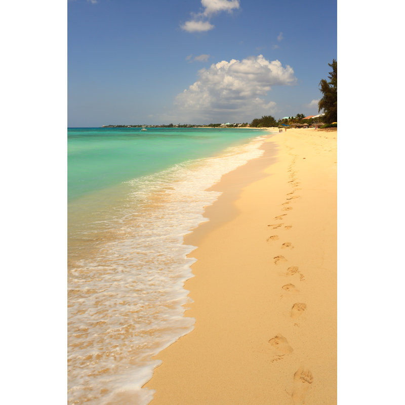 Caraïbes: Dream Beach par Shunyufan, H 12 po x l 8 po