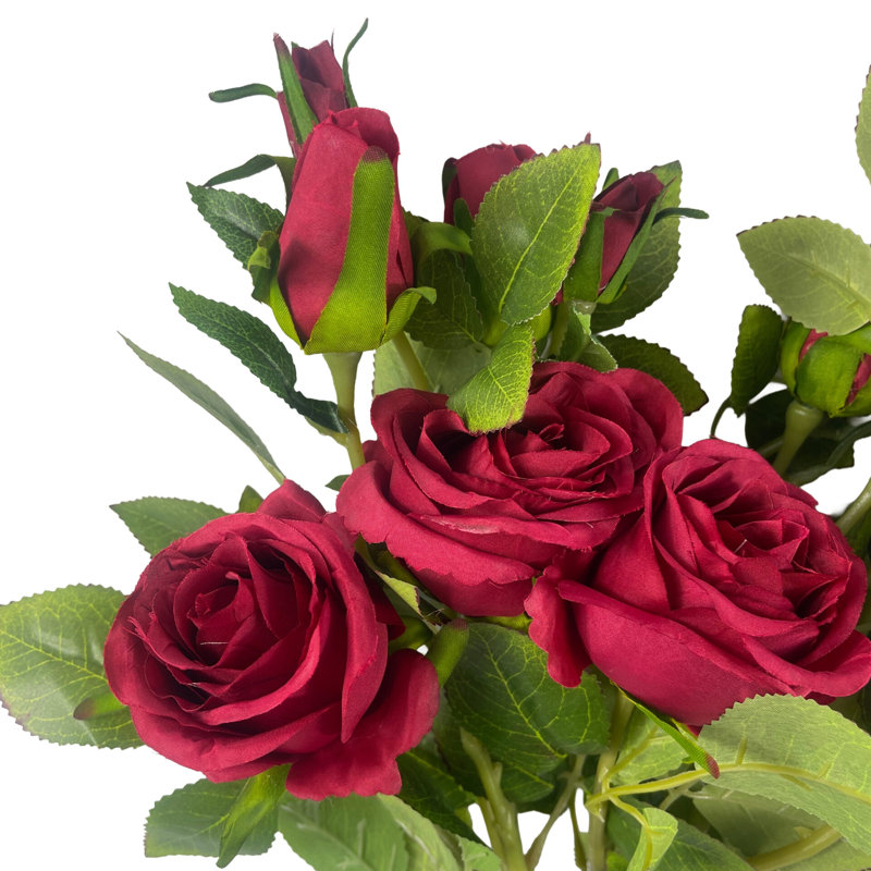 Antiqua Arrangement