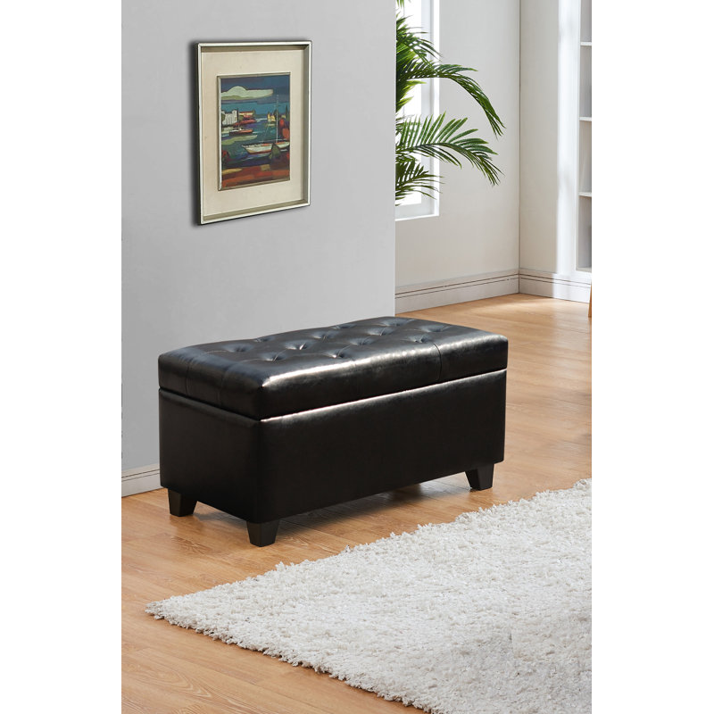 Banc de rangement rembourré Defazio, Noir