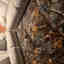 Photos des clients 1 de 2