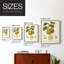 Vintage Pears III, reproduction encadrée - bois massif-775071774