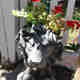Photos des clients 1 de 1