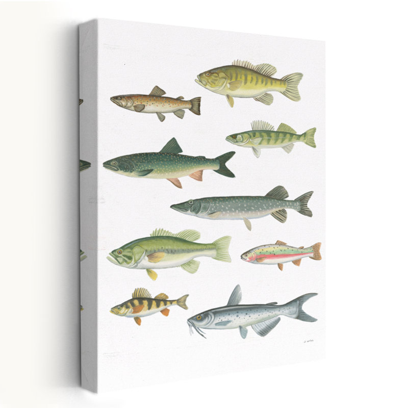 «Fresh Catch V - Animal Bass Blue Brown Trout Art», H 24 po x l 16 po