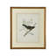 Delicate Birds III Print