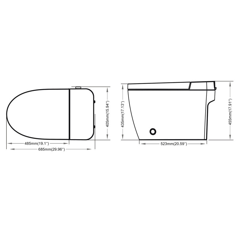 Toilette à bidet allongée VIBRANTBATH GPF (siège inclus)