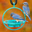 Mangeoire à oiseaux avec plateau-290068874