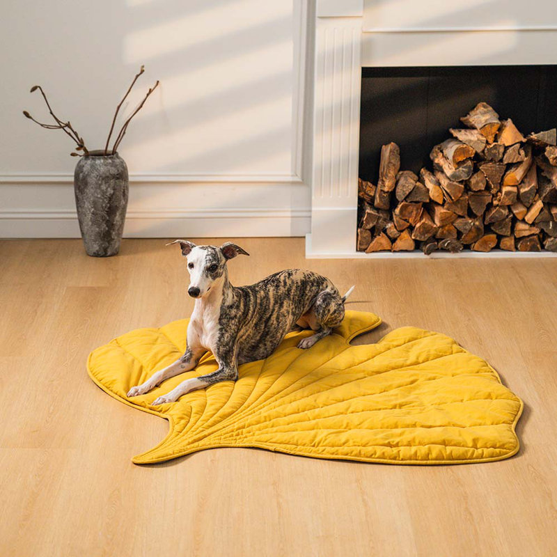 Couverture pour animaux en forme de feuille, jaune ginkgo