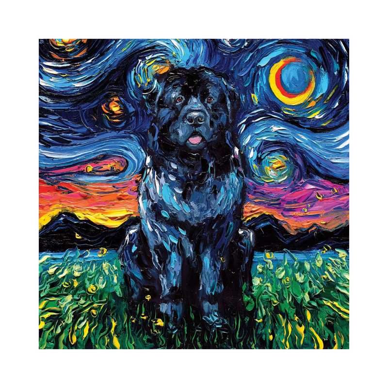 Newfoundland Night by Aja Trier - Wrapped Canvas Painting, 30.48 cm H x 30.48 cm W