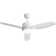 Savicky 47" 3-Blades Classic Ceiling Fan with LED Lights Kit and Remote Control
