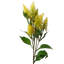Plastic, Silk Artificial Arrangement