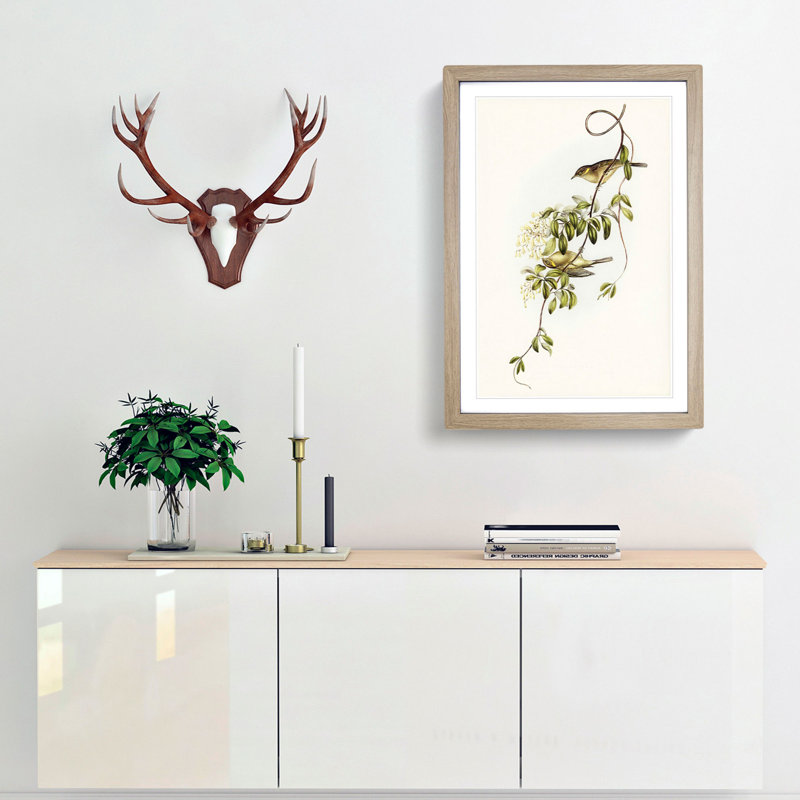 Fuscous Honeyeater Birds by Elizabeth Gould - Picture Frame Painting Print, 48cm H x 36cm W x 2cm D, Oak Framed
