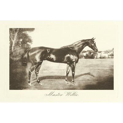 Master Willie - Wrapped Canvas Print