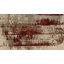 Tapis beige Asif Southwestern-1887656978
