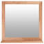 Lysia Flat Mirror with Shelves