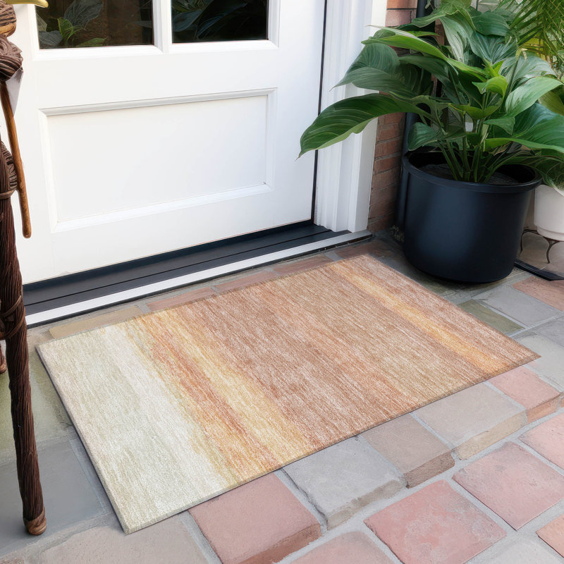 Tapis saumon intérieur / extérieur lavable à la machine Christn ACN1274, Rectangle 1 pi 8 po x 2 pi 6 po