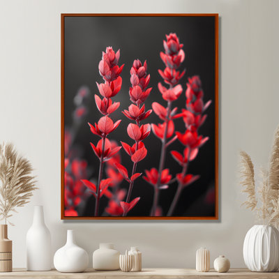 Rouge noir romantique eucalyptus I - Eucalyptus, art mural