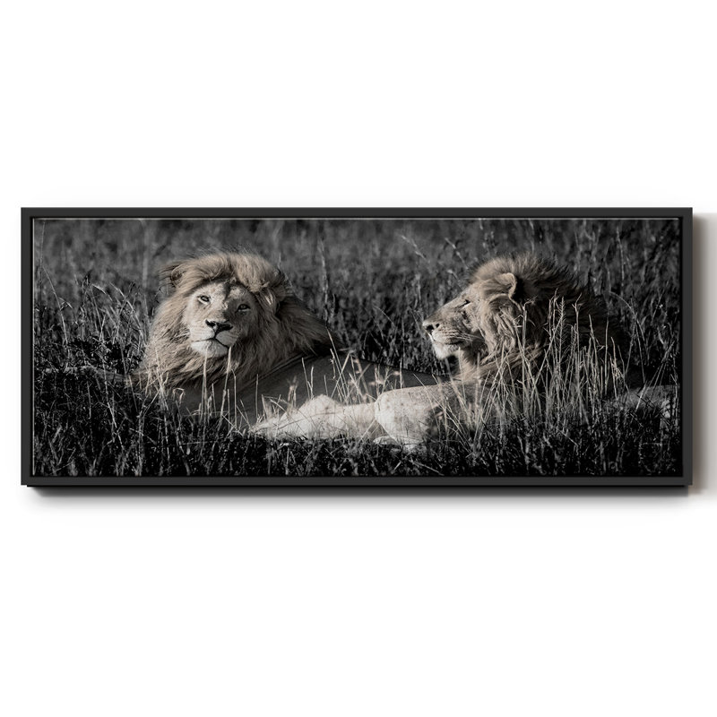 Mara Lions- Framed Canvas, 20" H x 50" W