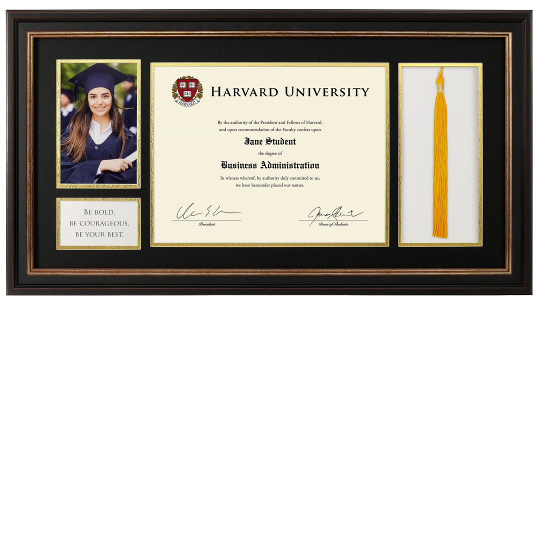 Excello Global Products 8.5X11 Document Frame With Double Mat, Photo And Tassel Holder - Black/Gold Winston Porter