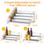 Spice Rack