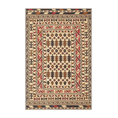 Oriental Indoor Rug