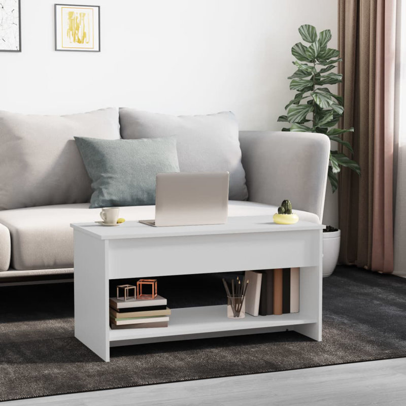 Jarosłav Frame Coffee Table with Storage, White