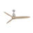 Aristede 60'' Ceiling Fan