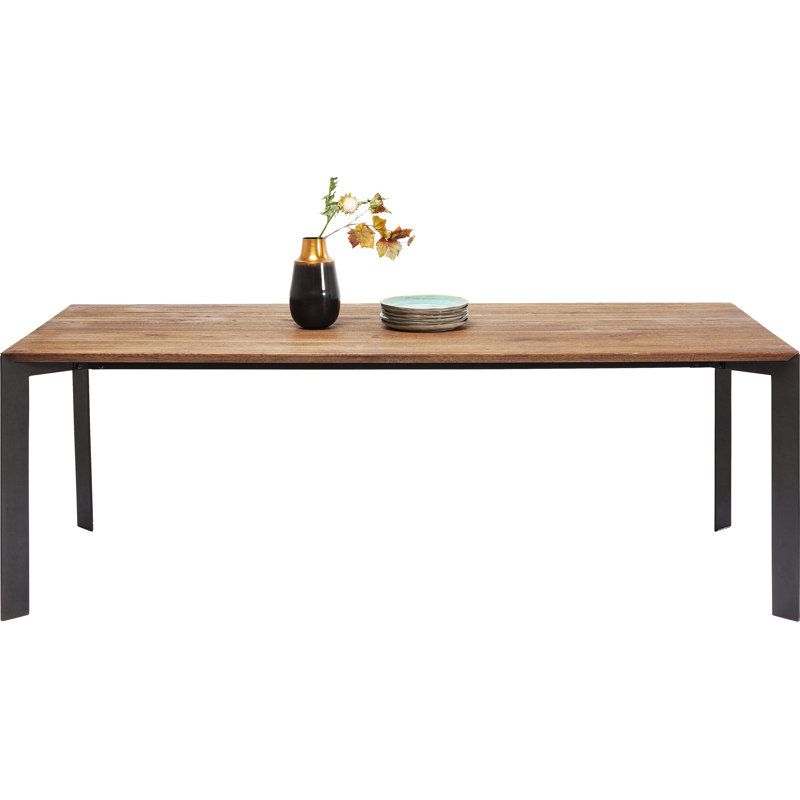 Table Phoenix 100x220cm