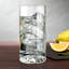 Club Crystal Highball Glass-42187070