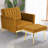 Siemon Velvet Accent Chair with Ottoman-954392198