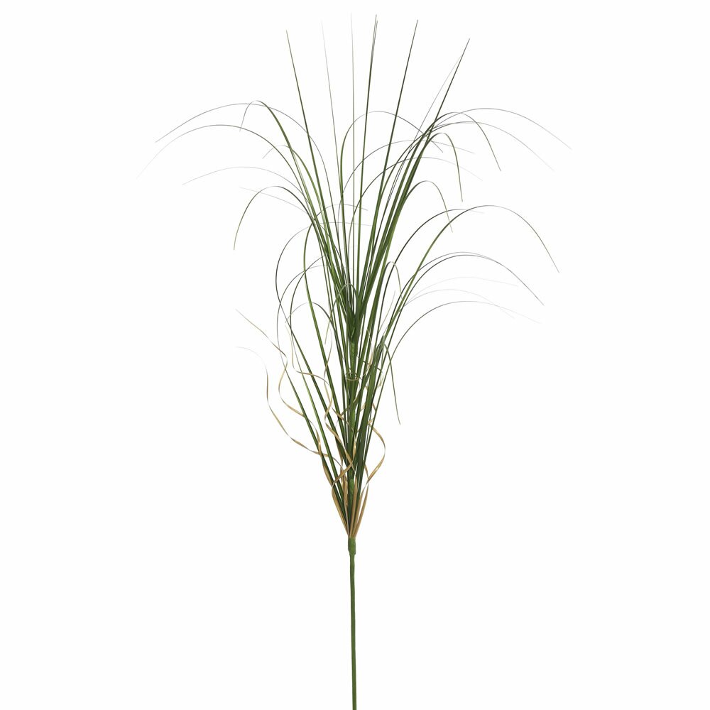 36'' Succulent Grass