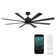 Size Matters 8-Blade Smart Ceiling Fan With Remote Control Included, Works With Alexa and iOS / Android App