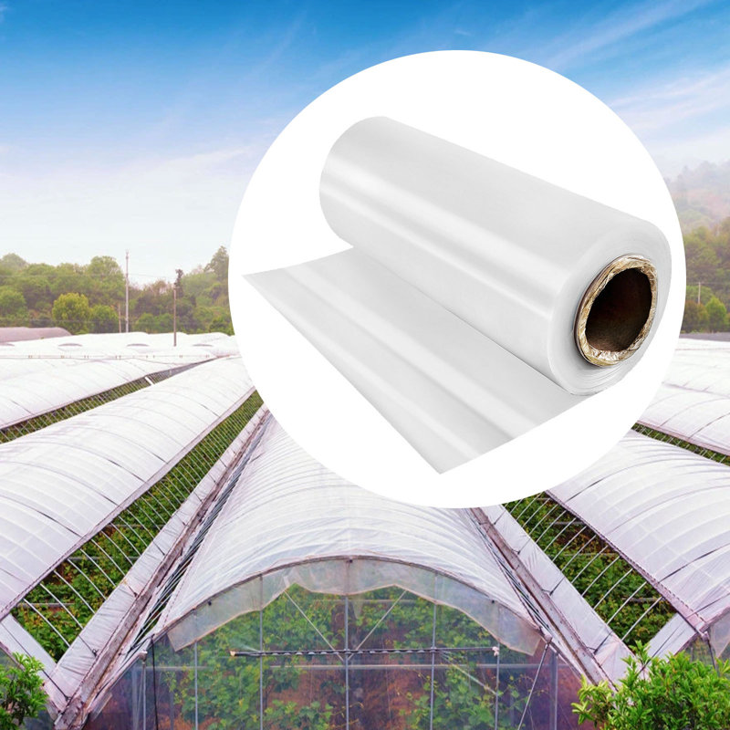 Greenhouse Shade Cloth and Cover, 0.03cm H x 304.8cm W x 762cm D