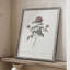 Impression florale vintage encadrée CXLVI - bois massif-1884940398