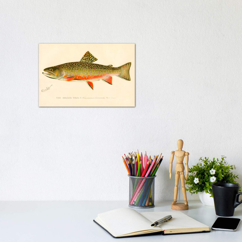 The Brook Trout - impression d'art graphique, H 8 po x l 12 po x P 0,75 po, Toile tendue