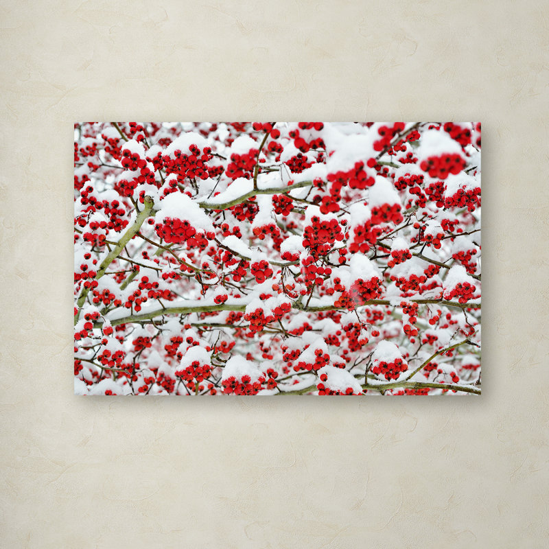"baies d’hiver dans la neige" par kurt shaffer, reproduction de photo sur toile tendue, H 16 po x l 24 po x P 2 po